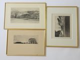 three black and white pictures of trees in a gold frame on a wall