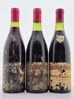 trois bouteilles de vin rouge posées côte à côte sur une table