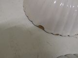 a white shell shaped object sitting on a white counter