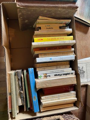 une boîte pleine de livres posée sur le sol