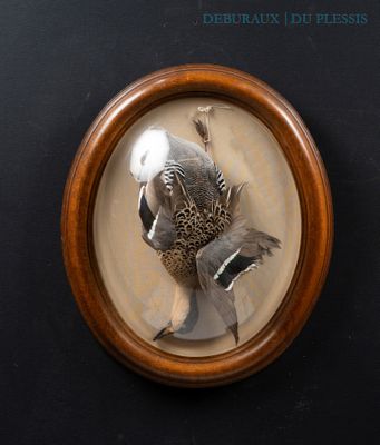a picture of a bird in a picture frame on a wall