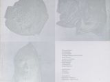 an image of a sheet of paper with four different images