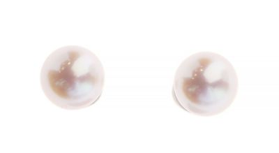 pair of white pearl earrings on white background