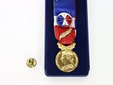 a gold medal with a red and blue ribbon and a medal pin