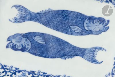 deux poissons bleus et blancs sur une assiette bleue et blanche
