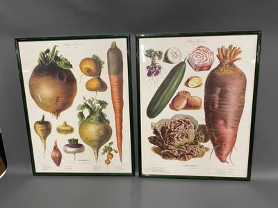 two framed pictures of vegetables on a table
