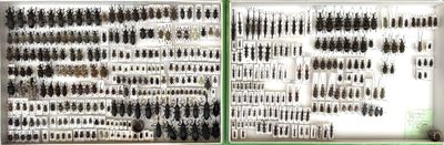 many different kinds of knives displayed in a display case