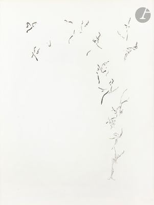 de nombreux oiseaux volant dans le ciel au-dessus d'un mur blanc