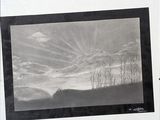 a black and white picture of a landscape with trees