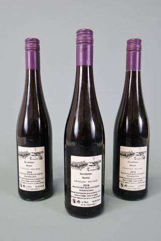 Lot de 3 Bouteilles de vin rouge Allemand « Dornfelder, Merlot » ...