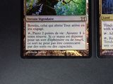 two cards with a picture of a tree in the middle and a picture of a forest in the background