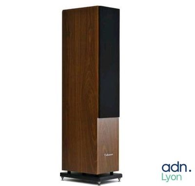 une enceinte colonne en bois avec un socle noir et un fond blanc