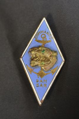 un gros plan d'un insigne portant un lion