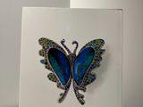 a close up of a picture of a butterfly on a white surface