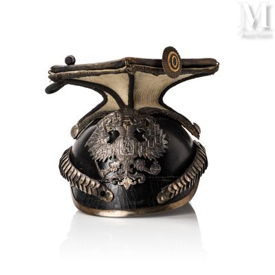 an image of a helmet with a bird on it