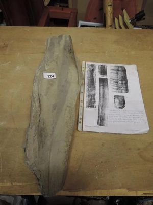 127.49 - 2 Blocs DE Calcite + Bloc DE Dolomite .