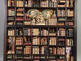 une étagère contenant beaucoup de livres