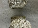 two large rocks sitting on top of a cement floor next to each other