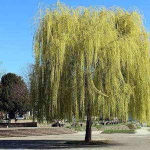 Destockage & Invendus