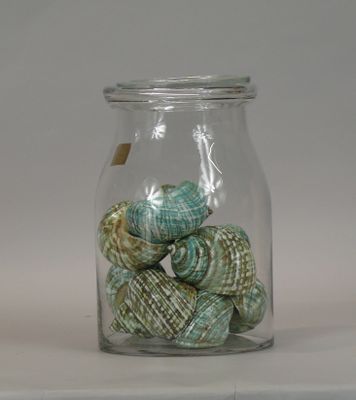 a glass jar with sea shells in it on a table