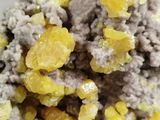 a close up picture of some yellow crystals on a white plate