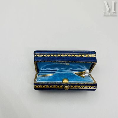 Double épingle or Double épingle d'habit en or jaune sertie … - Photo 1