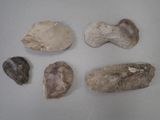 five different types of rocks on a white surface