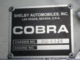 Photo 16/17 du lot