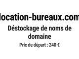 Photo 1/1 du lot