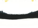 a black and white drawing of a boat on a body of water