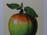 une photo d'une pomme avec une feuille dessus