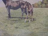 a painting of a horse and a foal in a field