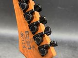 a close up of the headstock of an electric guitar