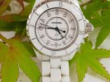 a close up of a watch on a table with leaves