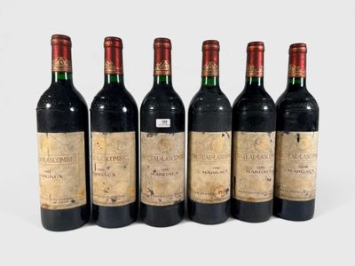 six bouteilles de vin sont alignées sur une surface blanche