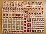 une photo d'une table sur laquelle sont disposées de nombreuses pièces de monnaie