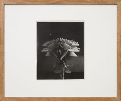 photographie en noir et blanc d'une fleur dans un cadre en bois