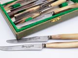 five knives in a box with a green case