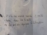 Photo 5/7 du lot