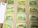 un livre sur lequel figure une image de poisson
