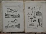 deux pages d'un livre avec des dessins