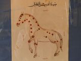 a picture of a picture of a horse with spots on it