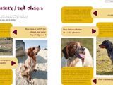 many pictures of dogs that can be seen in this article