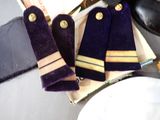 three purple and gold ties sitting on a table next to a pair of black shoes