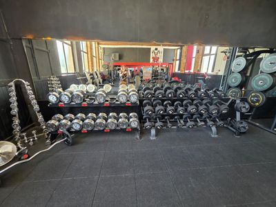 a lot of dumbs and weights in the gym