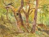 a painting of a tree in the woods with a bird perched on it