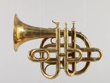 a brass instrument hanging from the ceiling