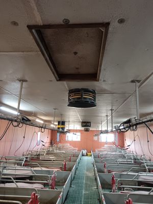 a long room with rows of sinks in it