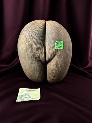 une sculpture en bois représentant une fesse, sur laquelle est collé un autocollant