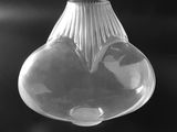 photographie en noir et blanc d'un vase en verre contenant un cœur